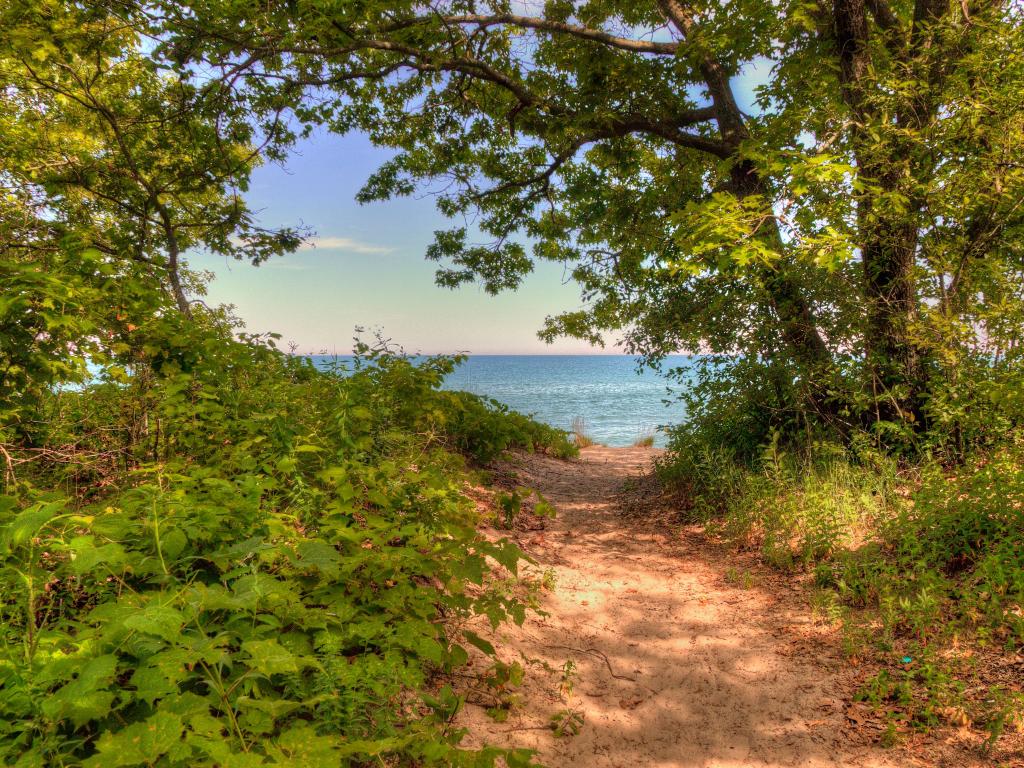Illinois Beach State Park, Zion, Illinois, USA with a sandy path and trees either side leading to the sea.
