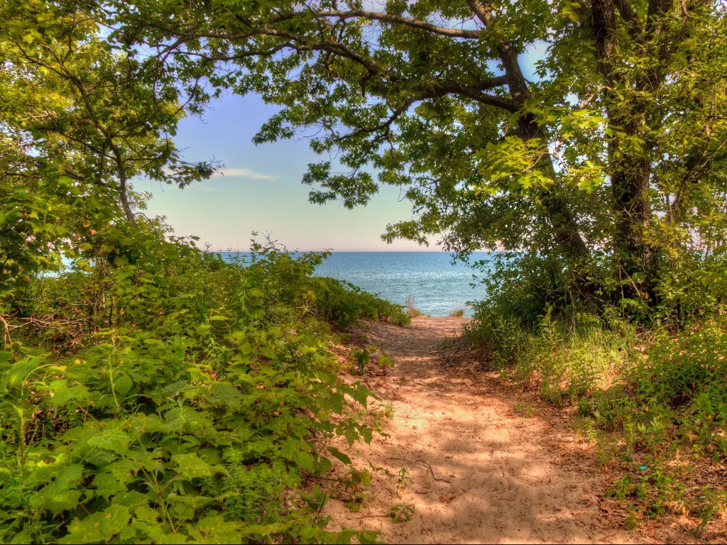 Illinois Beach State Park, Zion, Illinois, USA with a sandy path and trees either side leading to the sea.