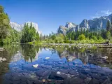 Merced river running through Yosemite Valley in Yosemite National Park, California