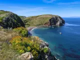 Santa Cruz Island, Channel Islands National Park, California showing Scorpion Anchorage with wildflowers in the foreground and a calm sea beneath the mountainous terrain and blue sky above.