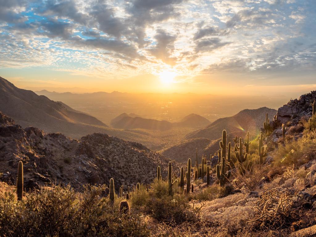 Scottsdale, Arizona, USA with a panorama of The McDowell Sonoran Preserve overlooking Scottsdale, during a beautiful sunset with cacti in the foreground.