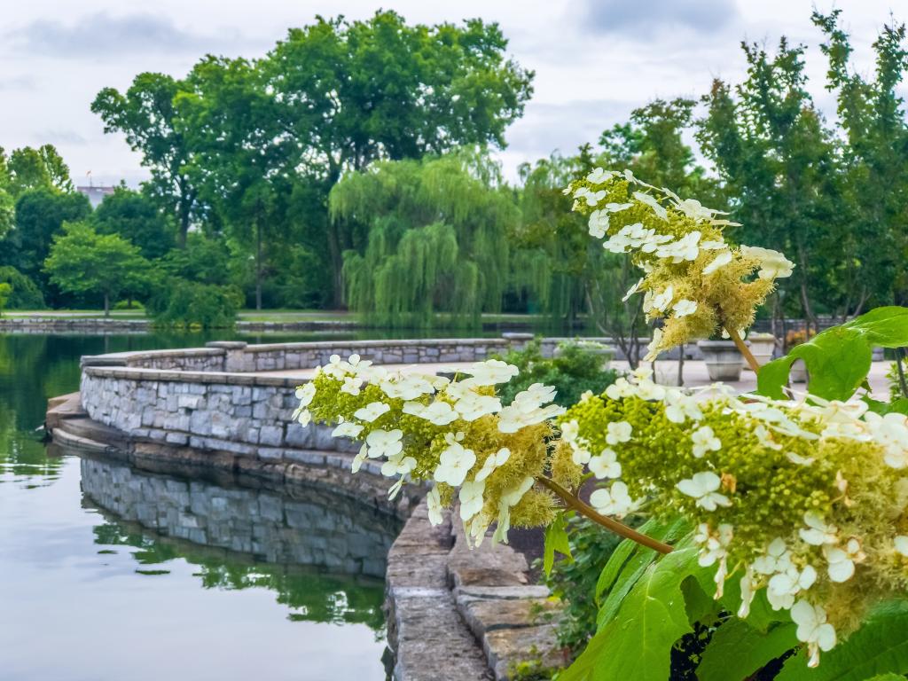 Flowers and trees at the Centennial Park in Nashville, Tennessee