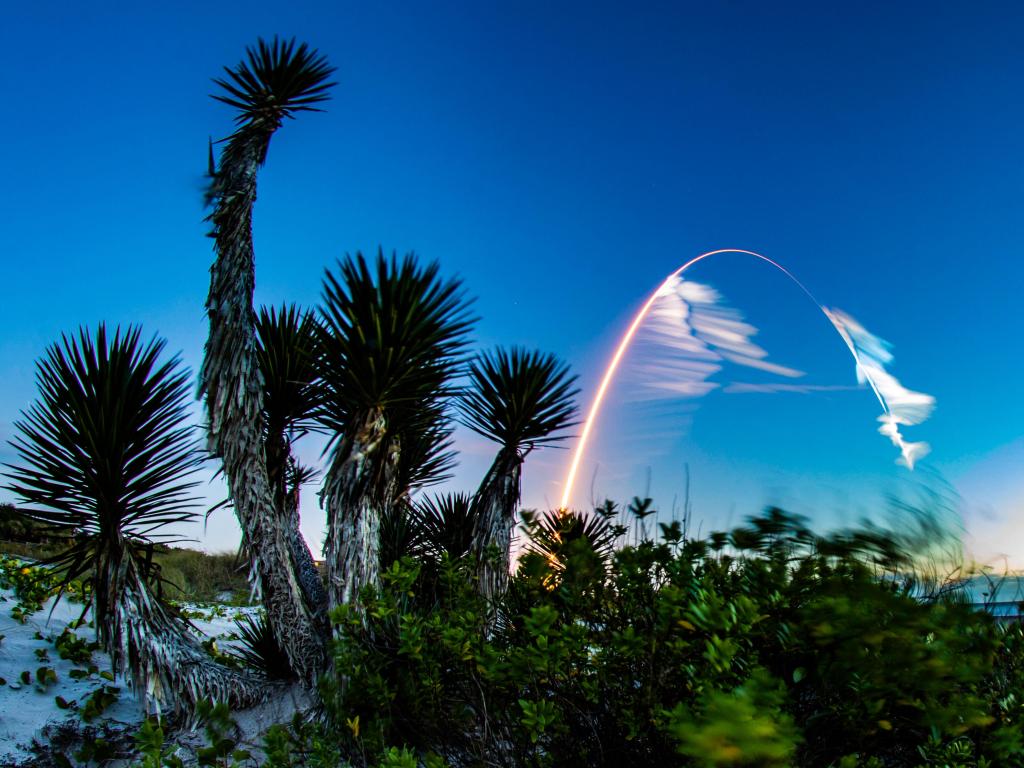 Bright trail of light through blue sky behind palm trees