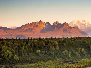 Denali National Park with mountains glowing in the sunrise light and the forest and river in the foreground