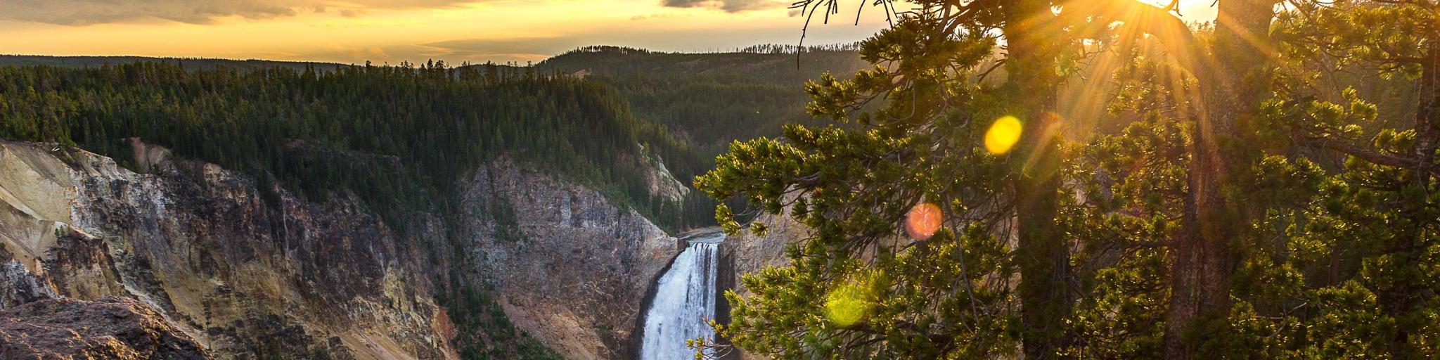 Grand Canyon of Yellowstone National Park, USA taken at sunset with rocky cliffs and the canyon below with a waterfall and trees in the distance. 