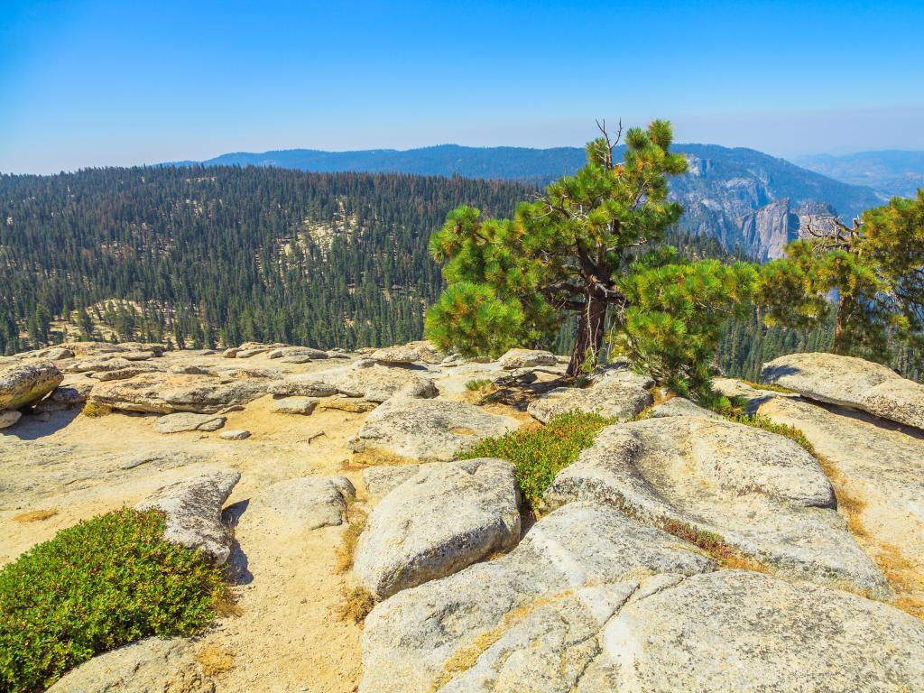 Summit of Sentinel Dome, a granite dome in the south wall of Yosemite Valley