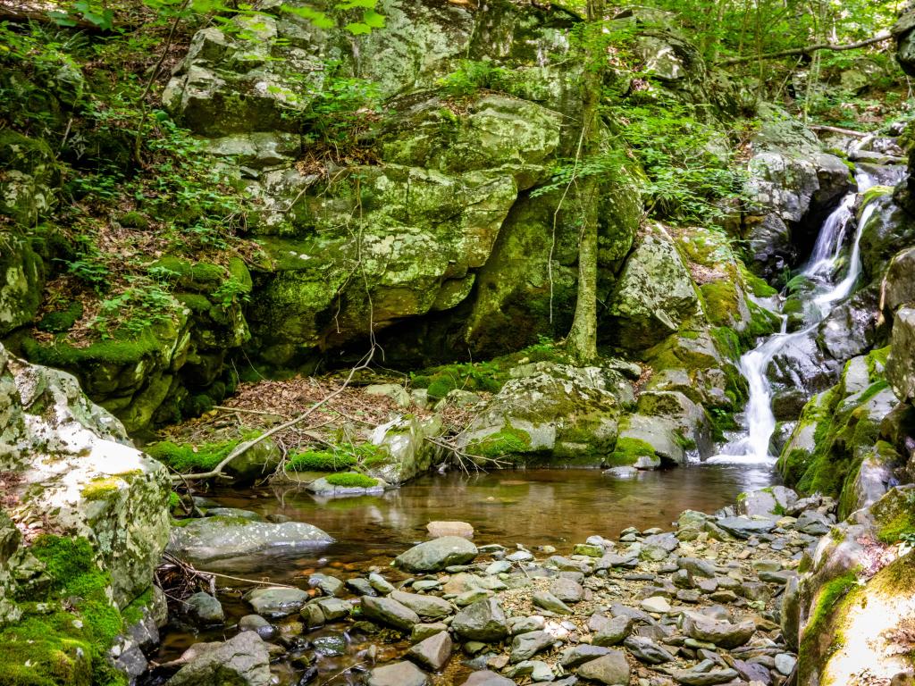 Shenandoah National Park, Virginia, USA taken at White Oak Canyon and Cedar Run trail loop waterfalls and cascades.