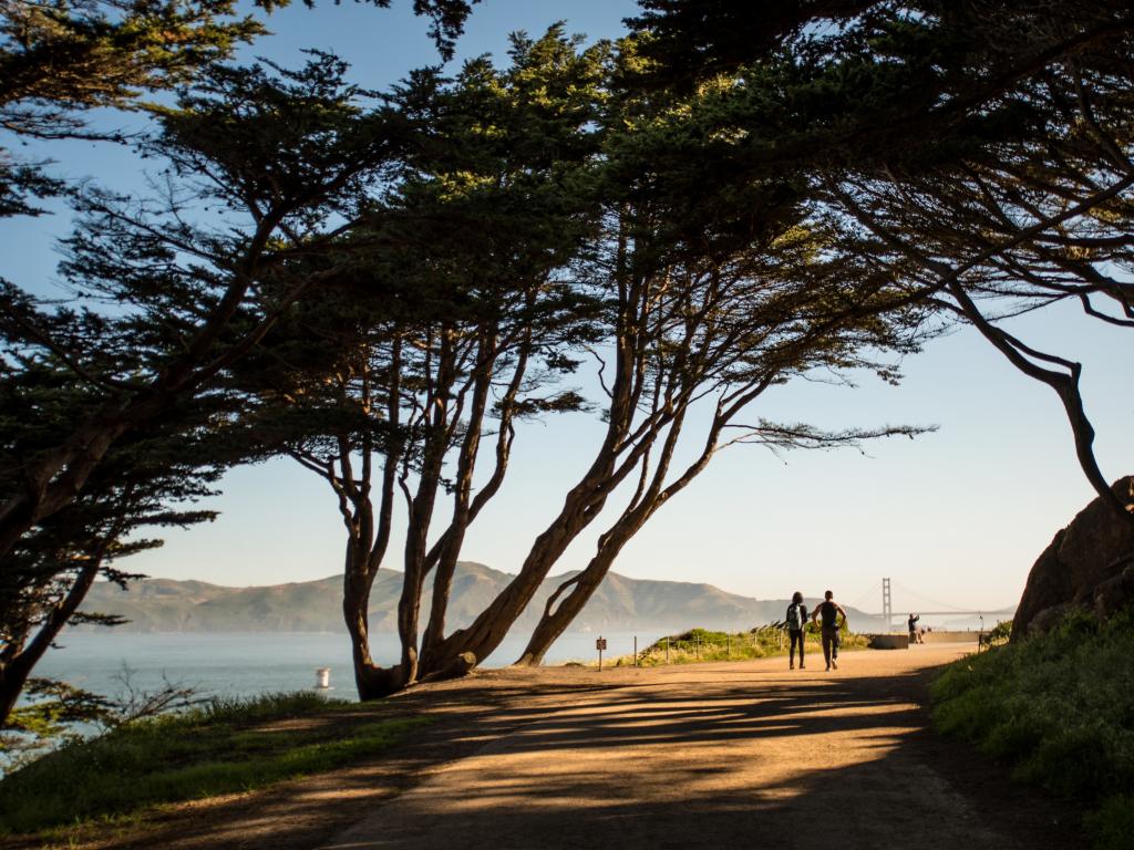 Couple walking in Presidio park with stunning views in San Francisco