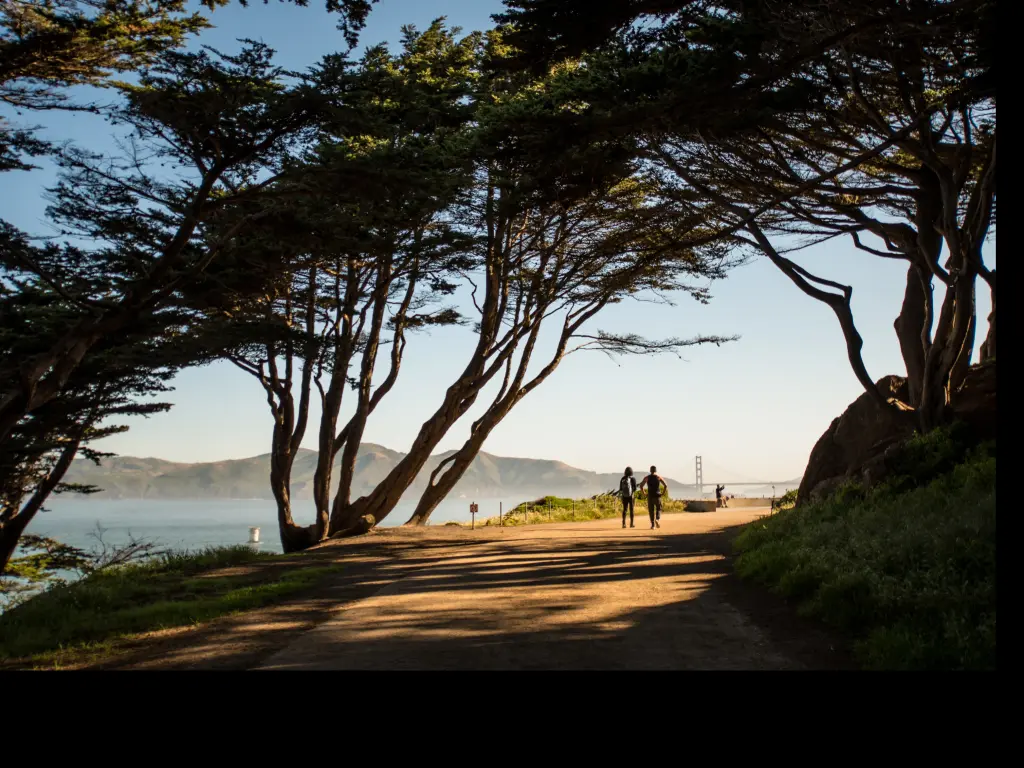Couple walking in Presidio park with stunning views in San Francisco