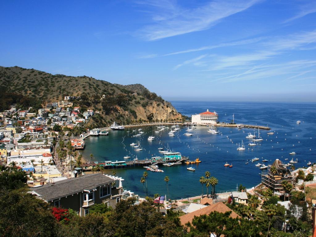 View of the harbor and town of Avalon, Santa Catalina Island, California