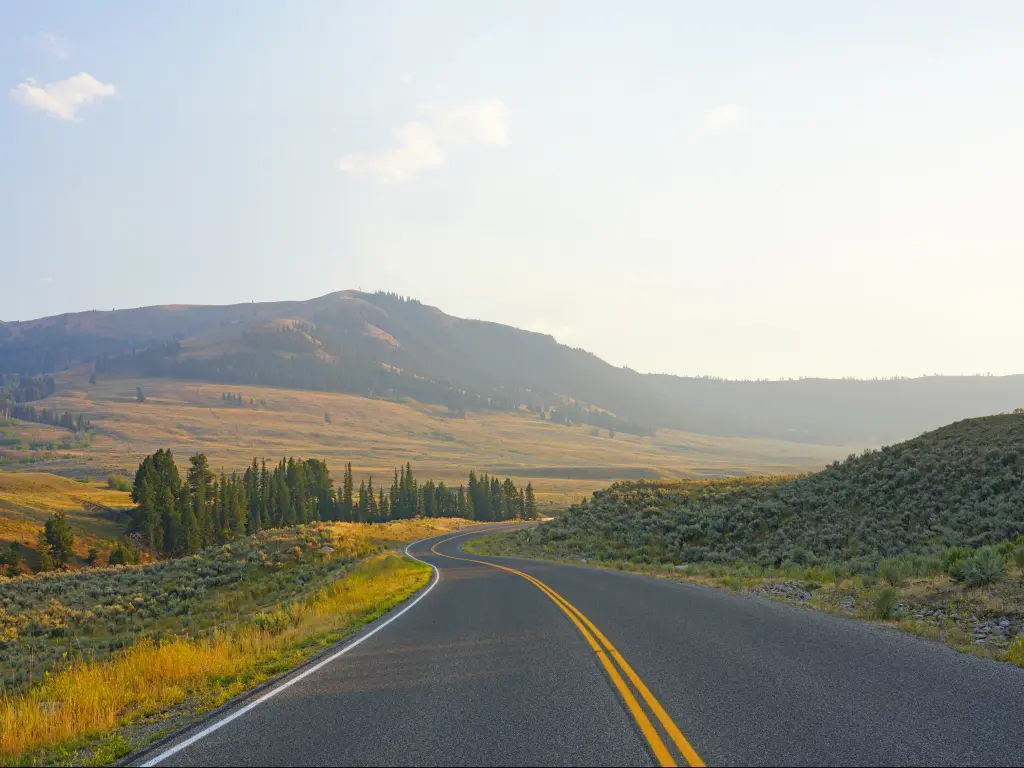 A typical Wyoming road running through Yellowstone National Park.