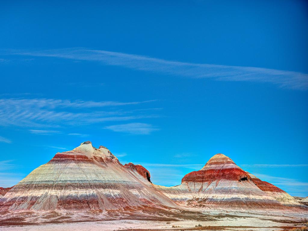 Colorful layered rock formations dotted across the expansive Petrified Forest National Park