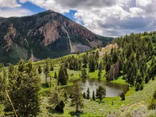 Yellowstone National Park, Wyoming, USA with a forest and lake in the foreground and a mountain in the distance. 