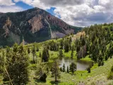 Yellowstone National Park, Wyoming, USA with a forest and lake in the foreground and a mountain in the distance. 