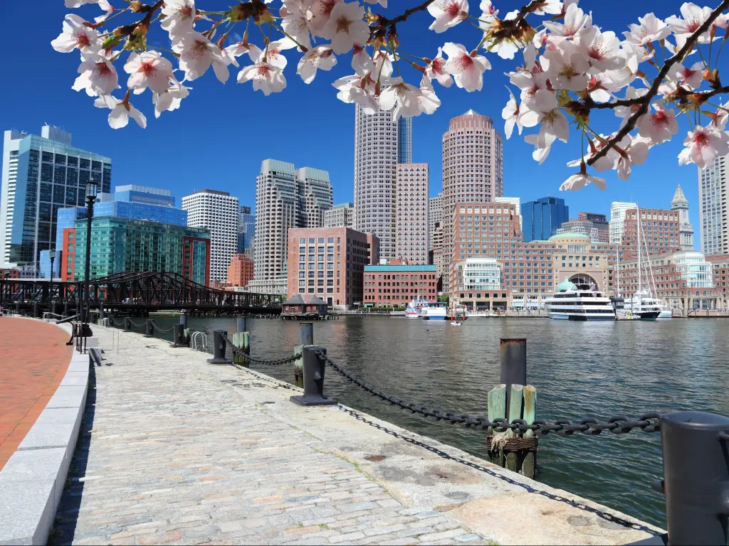 Boston city, Massachusetts in the United States. City skyline. Spring season - springtime cherry blossoms.