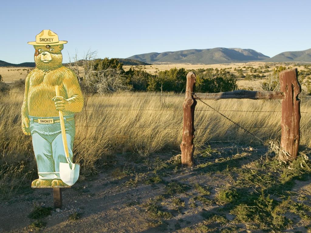 Birth place and site where Smokey the Bear was found during a bad fire, Smokey Bear Historical State Park on Route 48, southern New Mexico