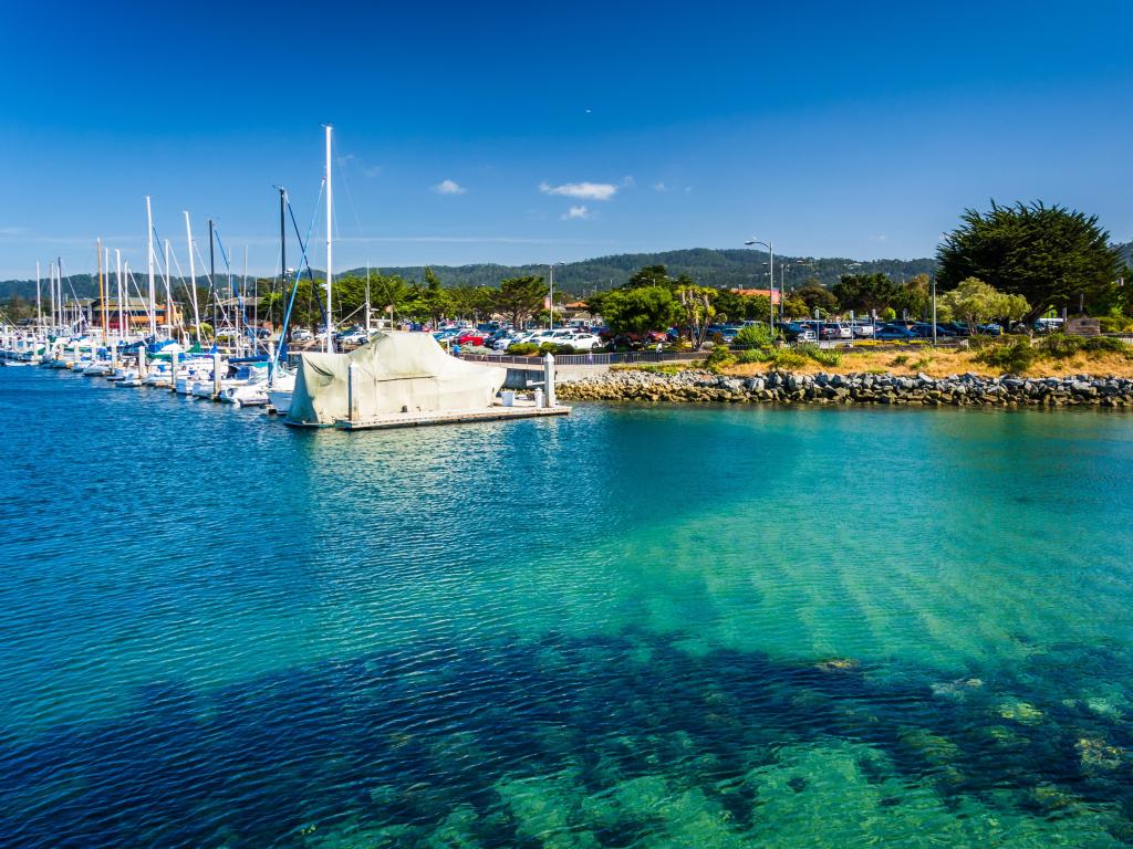 Monterey, California, USA with boats in the harbor seen from the Fisherman's Wharf on a sunny day with clear water in the foreground.