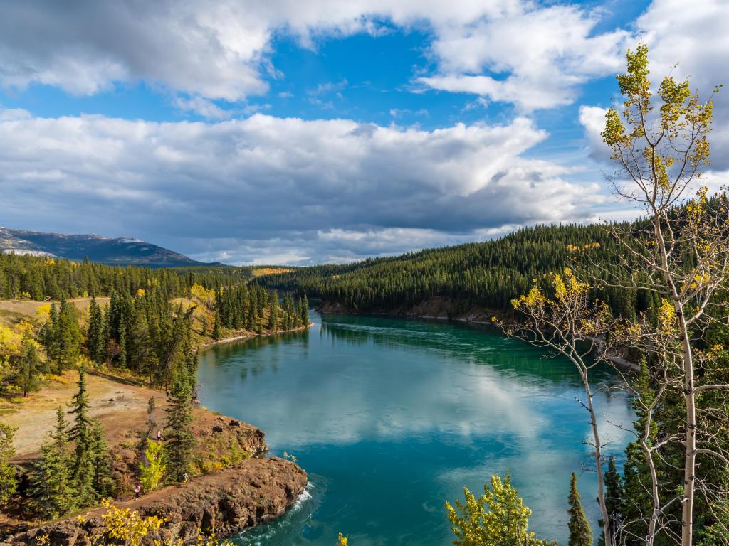 Miles Canyon, Whitehorse, Yukon Territory, Canada taken during fall with yellow colors in a stunning view of the water surrounded by trees on a sunny day.