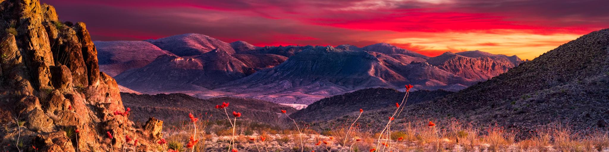 Mountains bathed in red and grey sunset light with red flowers in the foreground