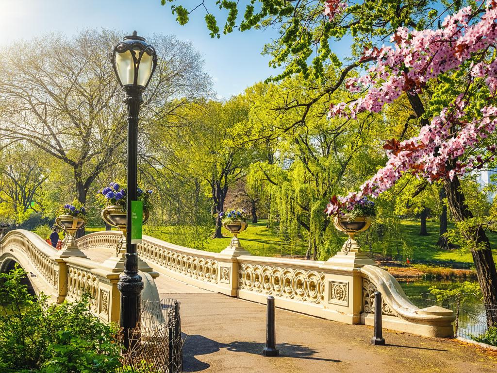 Bow bridge in Central park at spring sunny day, New York City