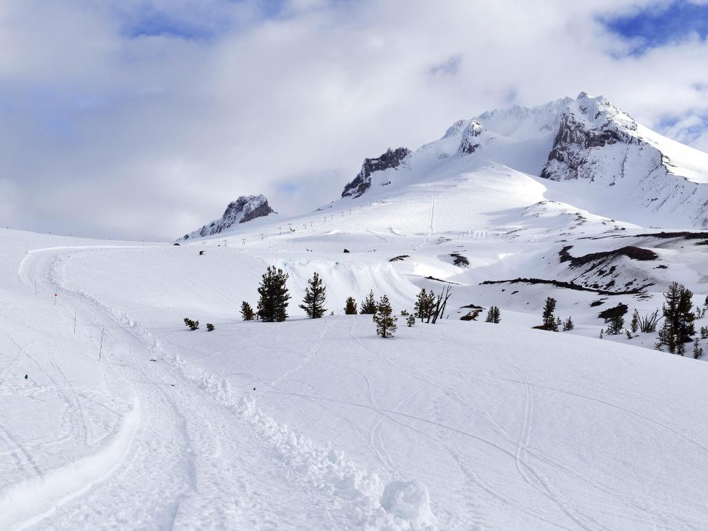 Fresh snow on the summit of the mountain with some trees in the background on a cloudy day